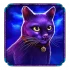 Chat Noir